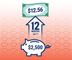 An RBFCU Classic Money Market account with $2,500 invested for 12 months with a 0.50% APY would earn $12.56.